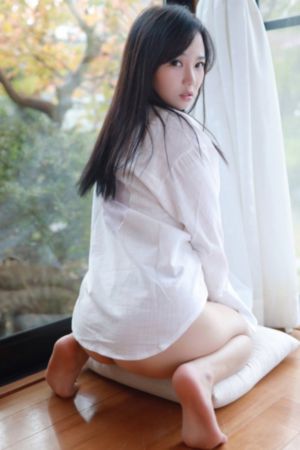 美丽的保姆